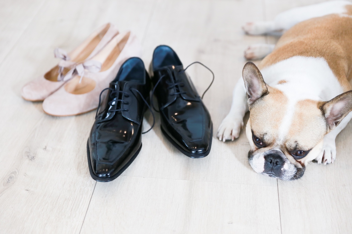 Brautschuhe neben dem schlafenden Hund der Familie